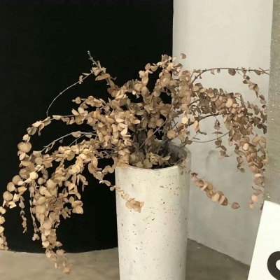 Furry角色比例设计兽圈社群